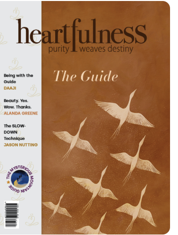HFN Magazine